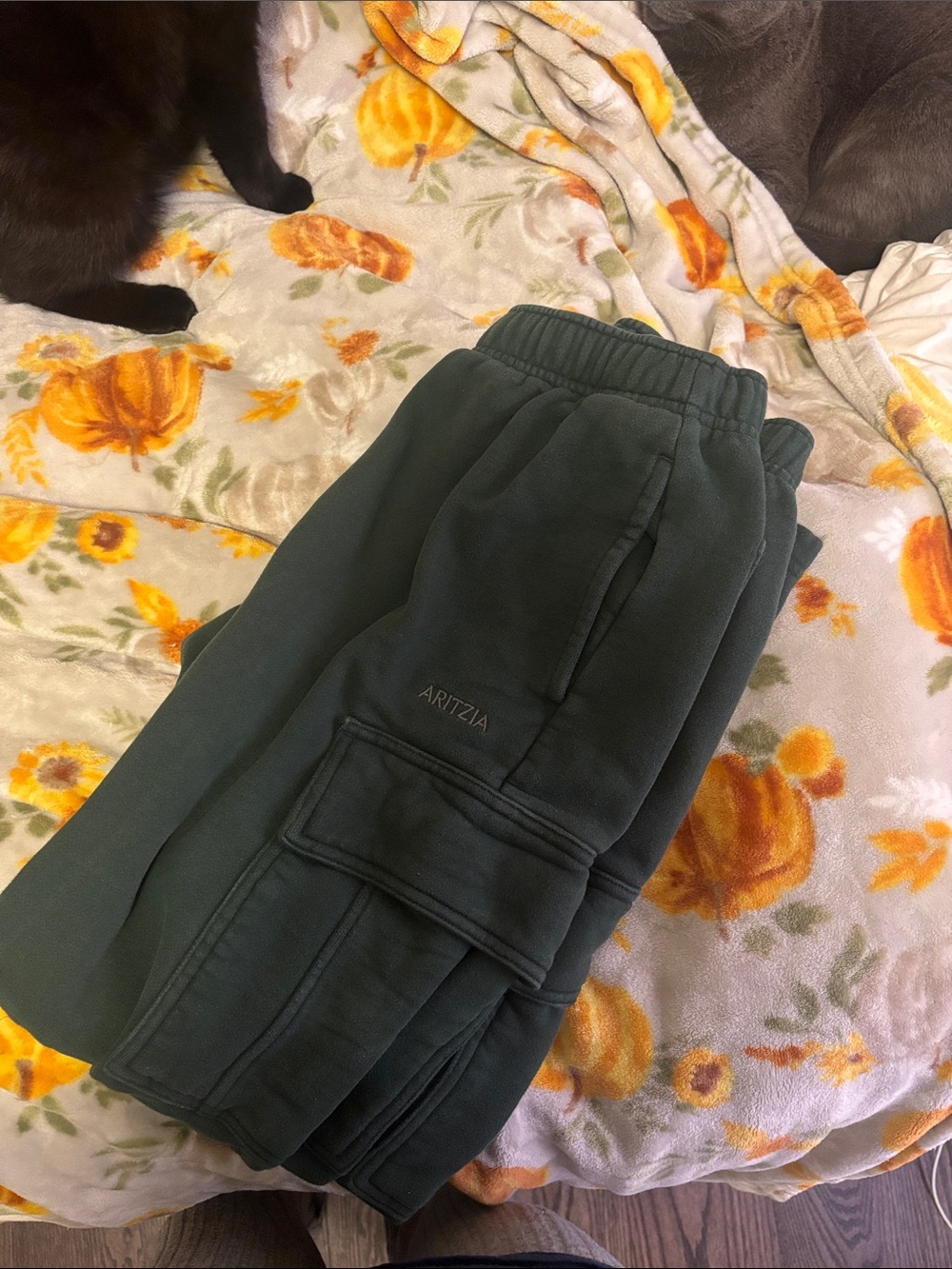 Aritzia Forest Green Cargo Joggers